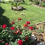 Διαμέρισμα Lolo Privlaka (Zadar)