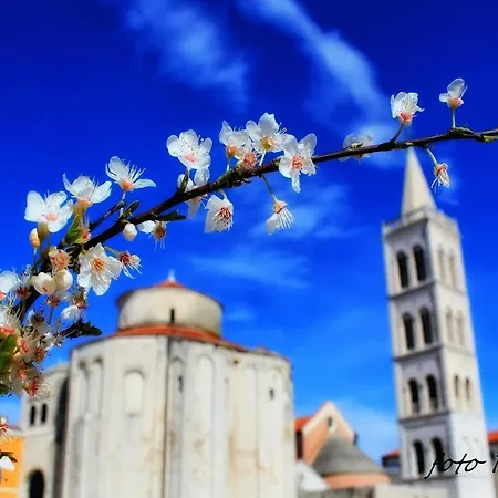 Lolo Apartamento Privlaka (Zadar)