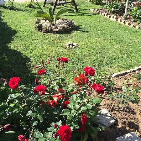 Apartmán Lolo Privlaka (Zadar)