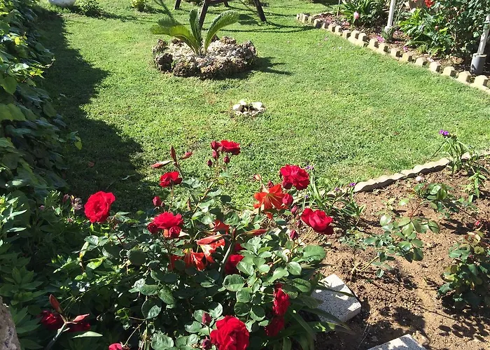 Apartament Lolo Privlaka (Zadar)