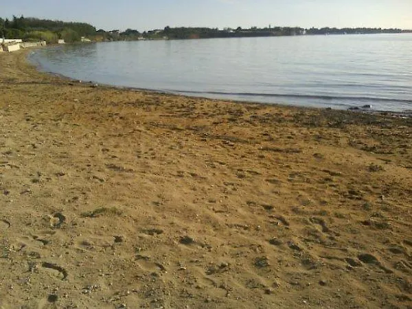 Lolo Привлака